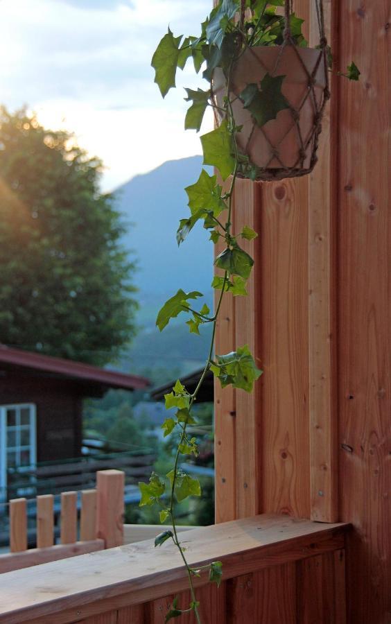 Haus Am Salz Mit Sauna باد اسشي المظهر الخارجي الصورة
